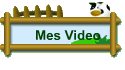 Mes Video